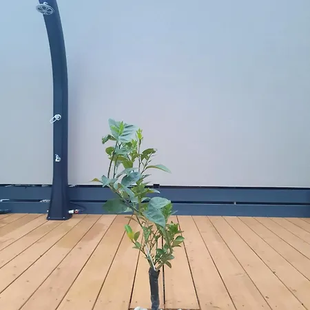 Mobile Sea Breeze אתר קמפינג *