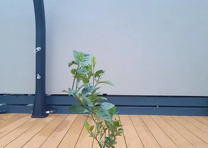 Mobile Sea Breeze Kamp *